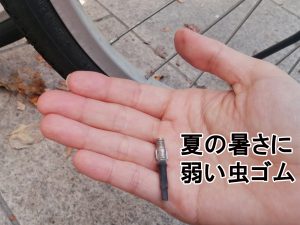 夏の暑さに弱い虫ゴム | コラム